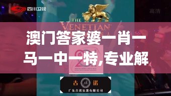 澳门答家婆一肖一马一中一特,专业解读方案实施_共鸣版LZD5.5