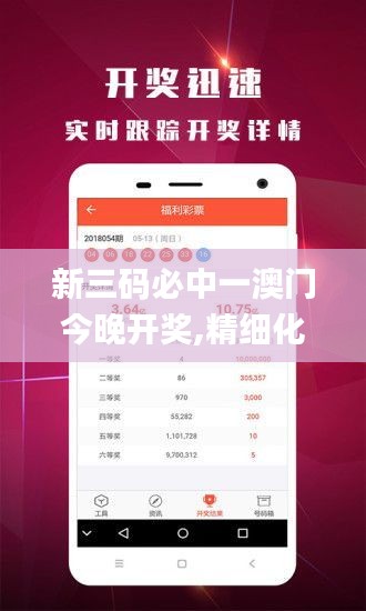 新三码必中一澳门今晚开奖,精细化实施分析_智巧版BHV5.65