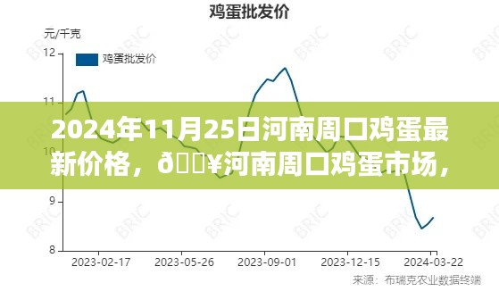河南周口鸡蛋市场最新行情揭秘，2024年11月25日价格走势及新鲜出炉的鸡蛋价格大揭秘！