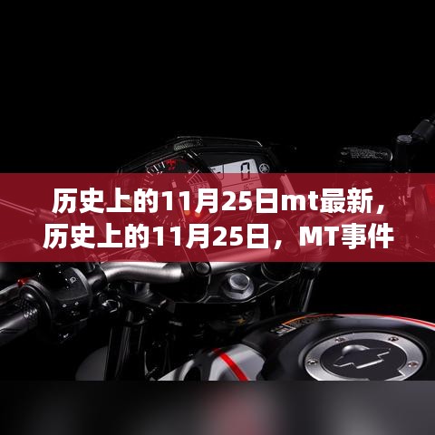飞扬拨扈 第4页