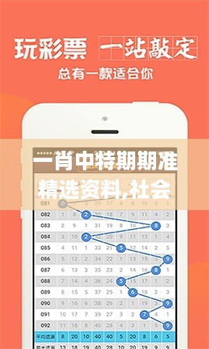 一肖中特期期准精选资料,社会责任实施_安全版WOJ13.9