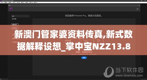 新澳门管家婆资料传真,新式数据解释设想_掌中宝NZZ13.88