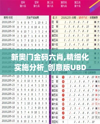 新奥门金码六肖,精细化实施分析_创意版UBD13.4