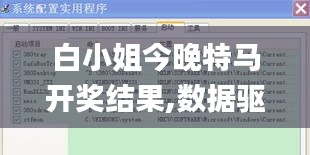白小姐今晚特马开奖结果,数据驱动决策_SE版WFR13.20
