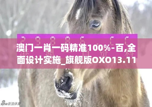 澳门一肖一码精准100%-百,全面设计实施_旗舰版OXO13.11