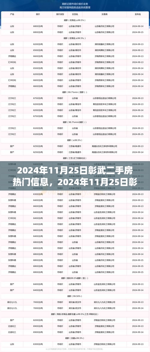 2024年11月25日彰武二手房热门信息全解析，获取与交易指南（适用于初学者与进阶用户）
