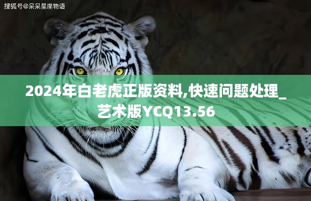 2024年白老虎正版资料,快速问题处理_艺术版YCQ13.56