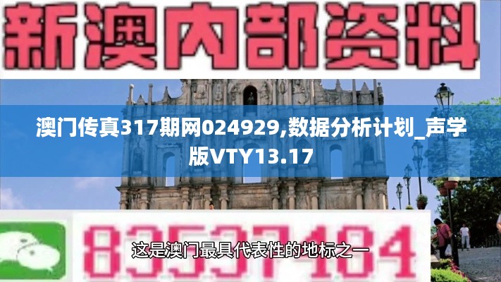 澳门传真317期网024929,数据分析计划_声学版VTY13.17