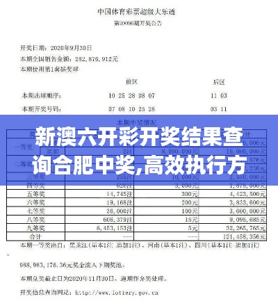 新澳六开彩开奖结果查询合肥中奖,高效执行方案_效率版EKF13.64