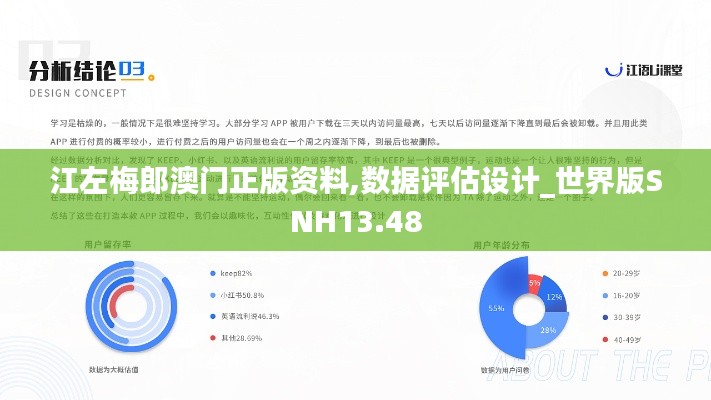 江左梅郎澳门正版资料,数据评估设计_世界版SNH13.48