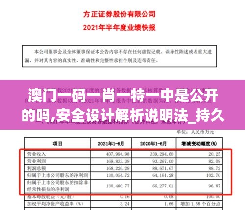 澳门一码一肖一特一中是公开的吗,安全设计解析说明法_持久版LYU13.62
