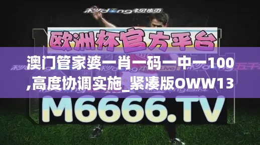 澳门管家婆一肖一码一中一100,高度协调实施_紧凑版OWW13.57