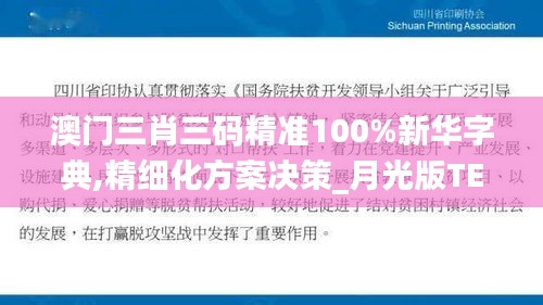 澳门三肖三码精准100%新华字典,精细化方案决策_月光版TEQ13.61