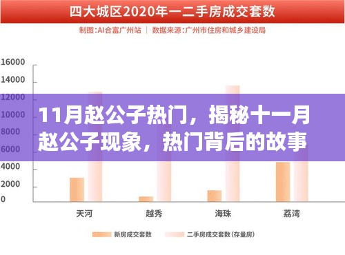 揭秘十一月赵公子现象，热门背后的故事探究