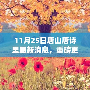 11月25日唐山唐诗里最新动态揭秘，领略最新发展风采