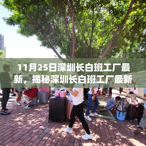 气焰嚣张 第3页