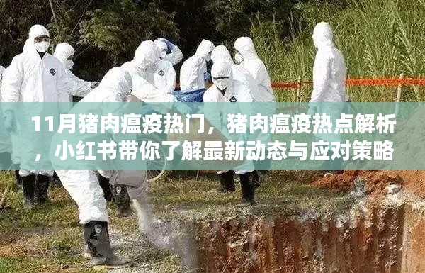 飞蝗芜湖 第4页