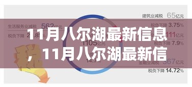 11月八尔湖最新信息，全面评测与深度介绍