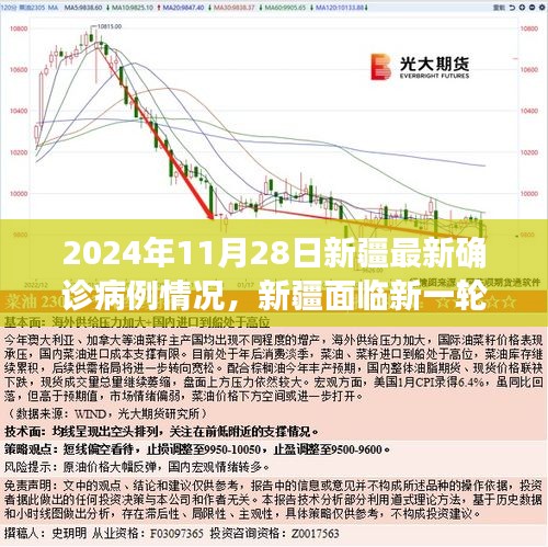 2024年11月28日新疆最新确诊病例解析，面临新一轮挑战