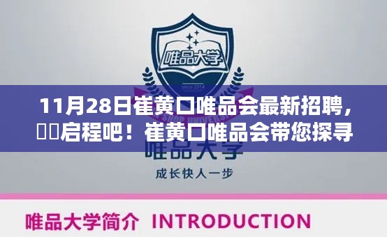 崔黄口唯品会最新招聘启事，探寻十一月宁静之美的旅程