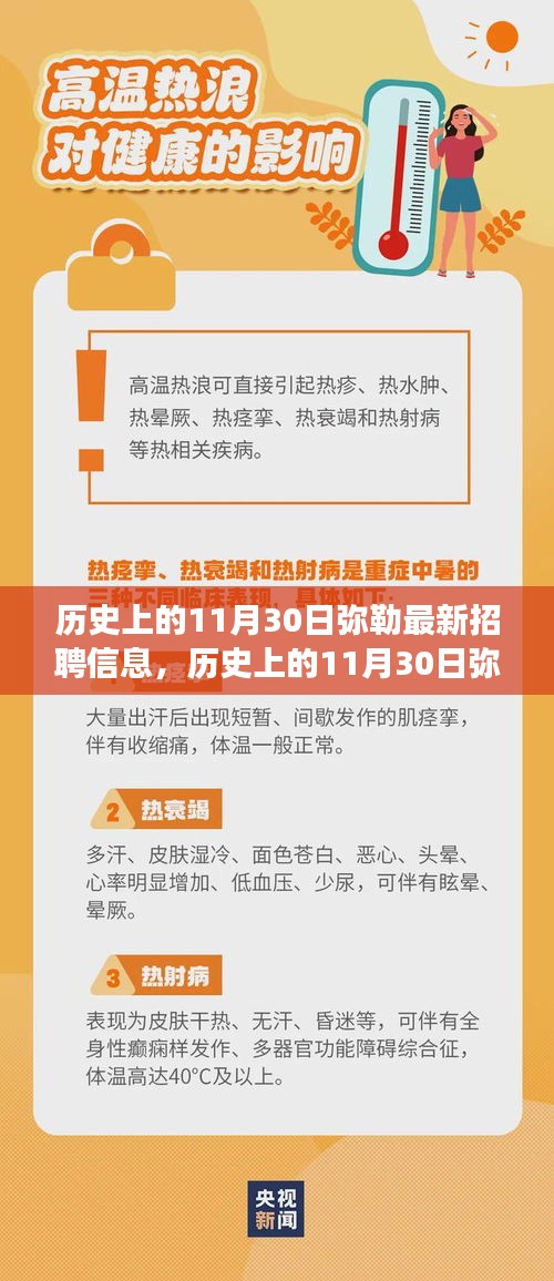 历史上的11月30日弥勒最新招聘信息深度解析与观点立场探讨
