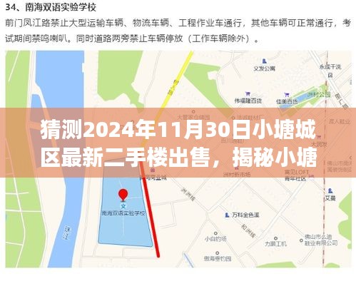 揭秘小塘城区未来，二手楼市场预测与最新出售动向（2024年）
