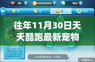 揭秘天天酷跑隐藏宠物店的神秘面纱，最新宠物探秘之旅（11月30日特辑）