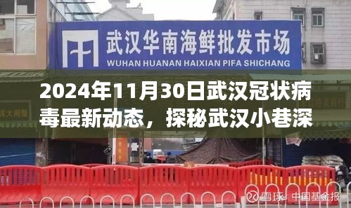 武汉冠状病毒最新动态，小巷深处的防线与隐藏美食宝藏揭秘（2024年11月30日）