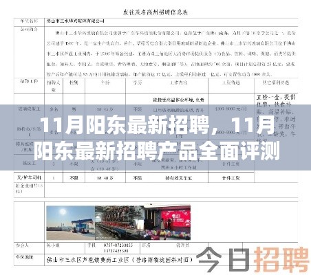 11月阳东最新招聘产品全面评测与介绍