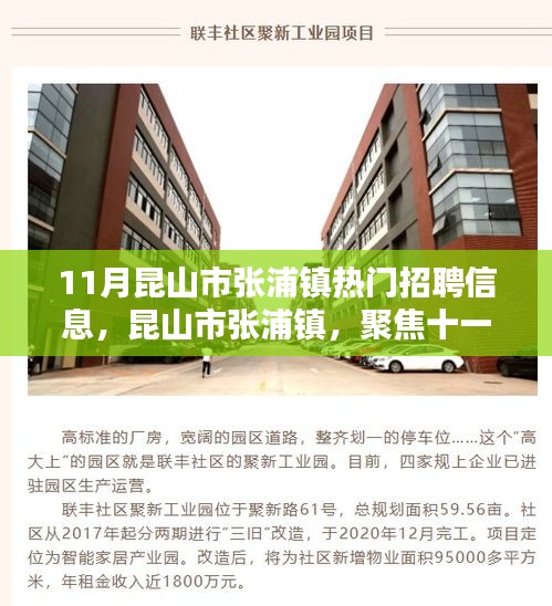 昆山市张浦镇十一月热门招聘信息，探寻新职业机遇，把握时代脉搏