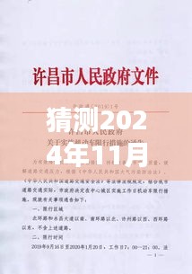 2024年11月30日洛阳市人事任免通告猜想与深度解读