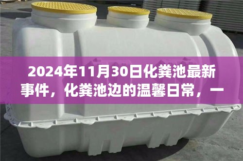 化粪池边的温馨日常，一场难忘的友情记忆（2024年最新事件）