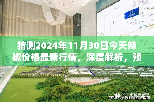 深度解析与预测，2024年11月30日辣椒价格最新行情评估与趋势展望。