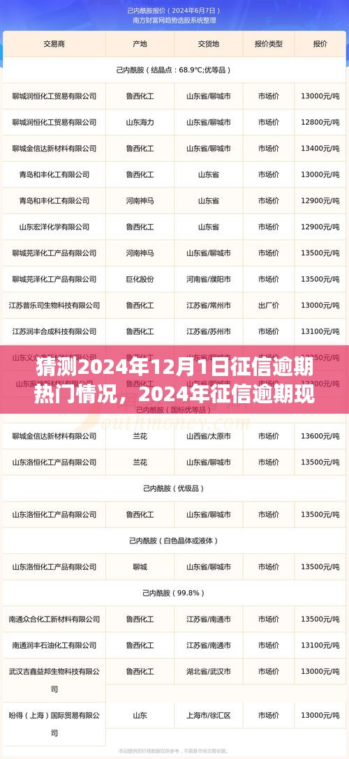 2024年征信逾期现象展望，背景、趋势与影响深度解析
