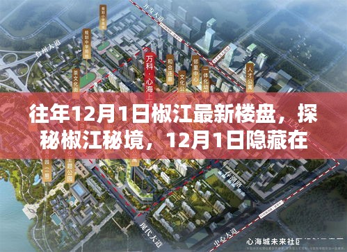 探秘椒江秘境，独特楼盘与小巷特色小店揭秘，12月1日最新资讯