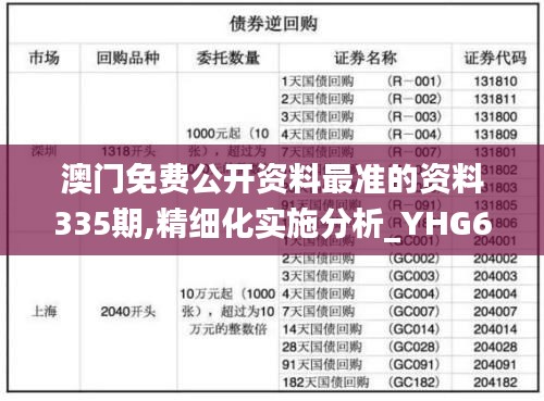 澳门免费公开资料最准的资料335期,精细化实施分析_YHG6.384设计师版
