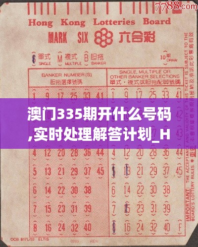 澳门335期开什么号码,实时处理解答计划_HCL89.506便签版