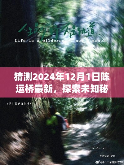 陈运桥2024自然之旅，探索未知秘境的心灵之旅