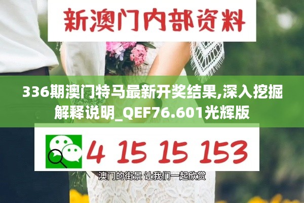 336期澳门特马最新开奖结果,深入挖掘解释说明_QEF76.601光辉版