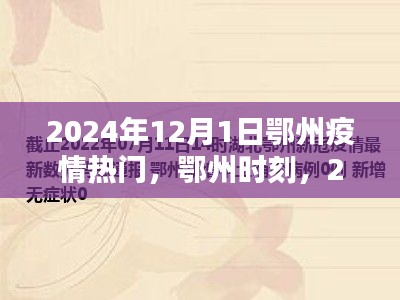 鄂州疫情回顾与影响，聚焦鄂州时刻的疫情热门事件（2024年12月1日）