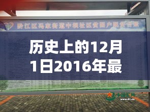 探寻历史中的启示，2016年主日讲章深度解读与启示回顾