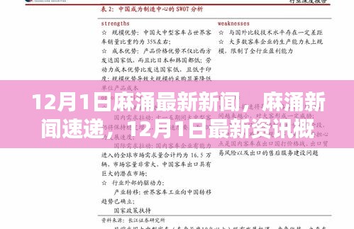 12月1日麻涌新闻速递，最新资讯概览