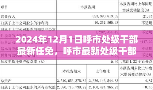 聚焦呼市处级干部任免动态，2024年12月最新调整篇章
