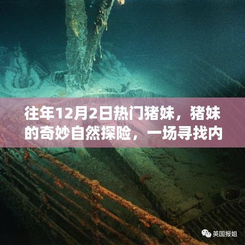 猪妹的十二月初奇妙自然探险之旅，寻找内心平静之旅