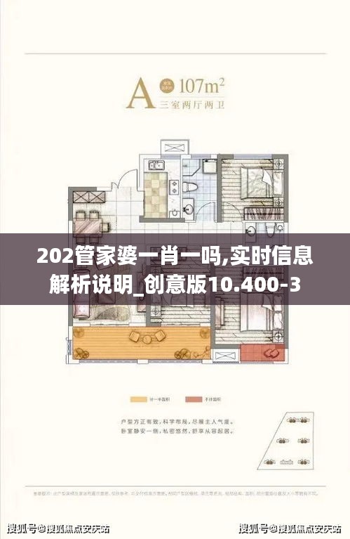 202管家婆一肖一吗,实时信息解析说明_创意版10.400-3