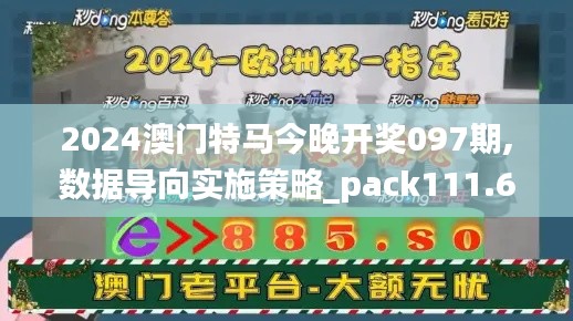 2024澳门特马今晚开奖097期,数据导向实施策略_pack111.691-1