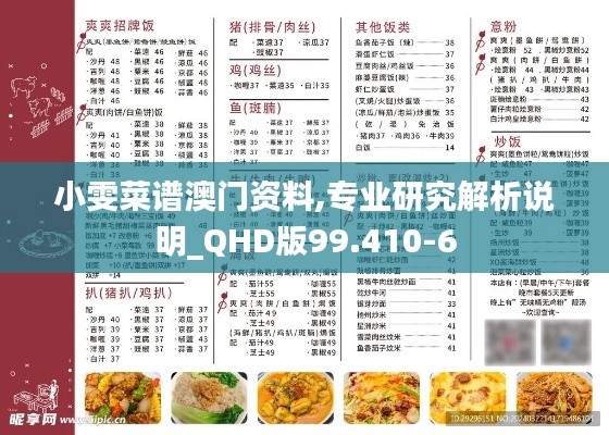 小雯菜谱澳门资料,专业研究解析说明_QHD版99.410-6