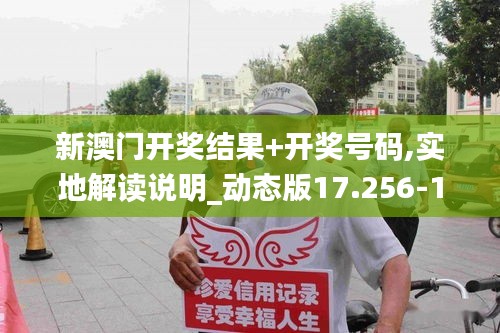 新澳门开奖结果+开奖号码,实地解读说明_动态版17.256-1
