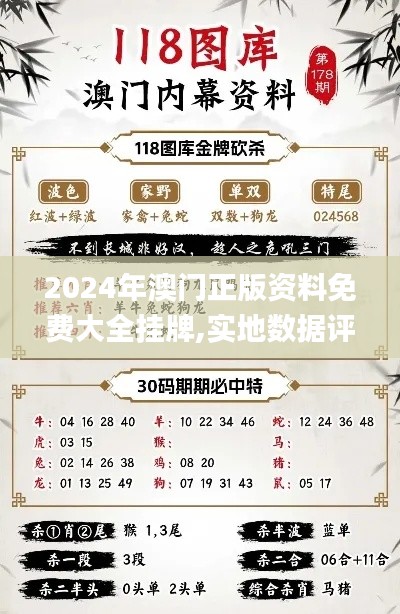 2024年澳门正版资料免费大全挂牌,实地数据评估策略_安卓81.921-4