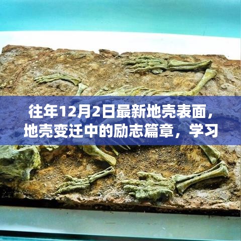 笨鸟先飞 第4页